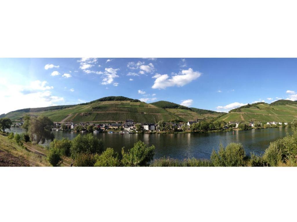 Ferienwohnung Am Moselufer Zell an der Mosel Εξωτερικό φωτογραφία