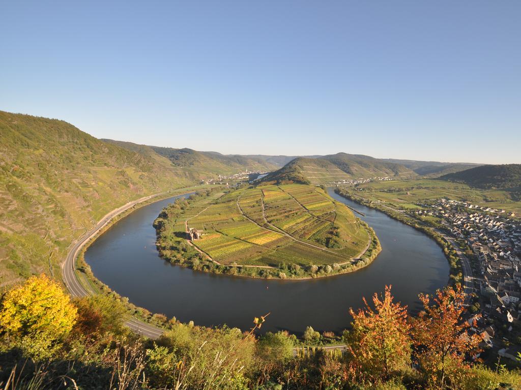 Ferienwohnung Am Moselufer Zell an der Mosel Εξωτερικό φωτογραφία