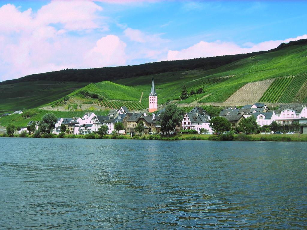 Ferienwohnung Am Moselufer Zell an der Mosel Εξωτερικό φωτογραφία